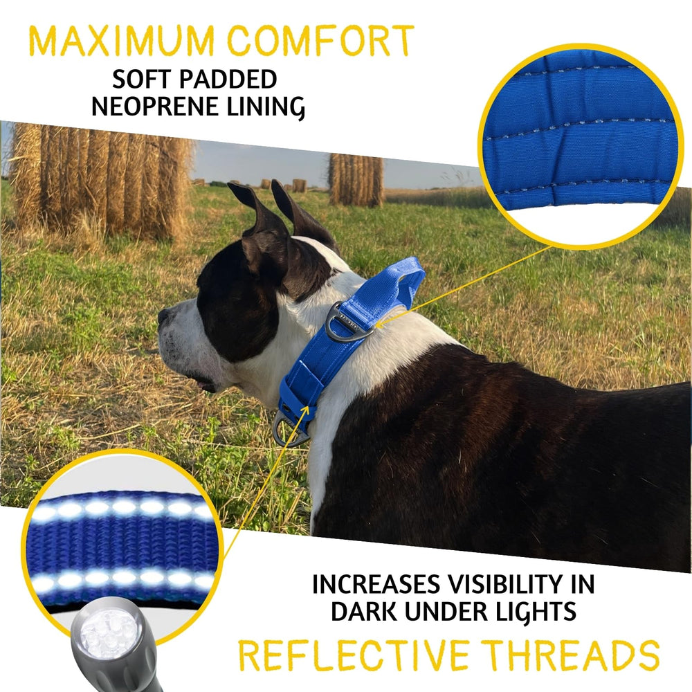 ADITYNA collar showing reflective stitching for nighttime visibility