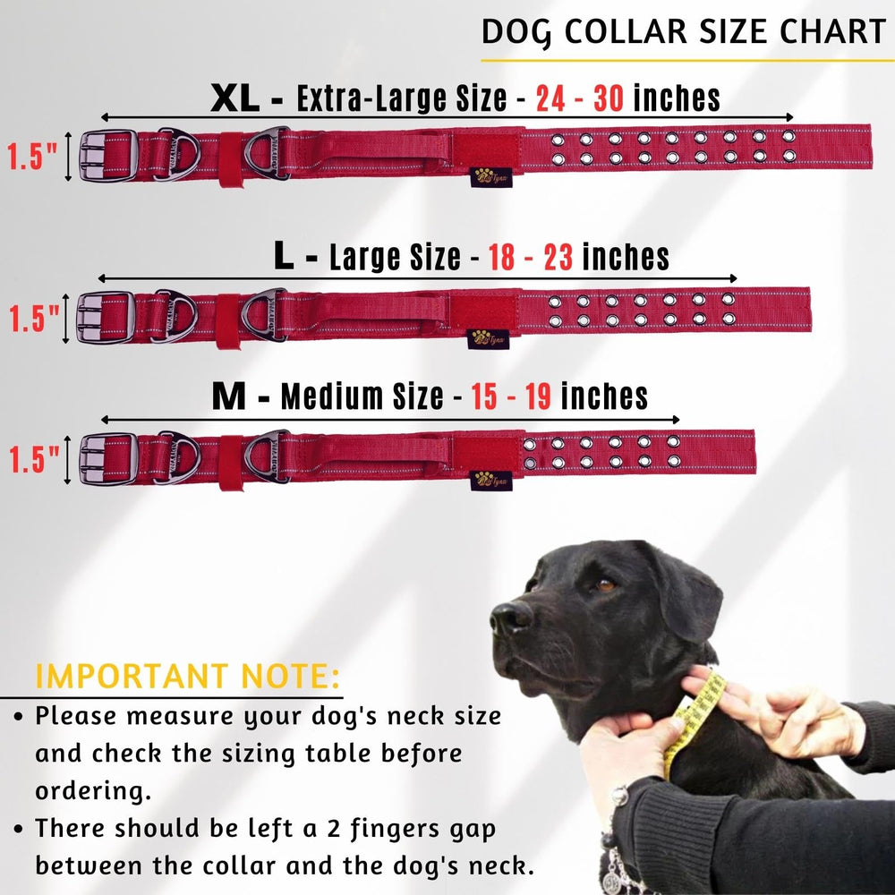 ADITYNA collar with reflective stitching for safer nighttime visibility.
