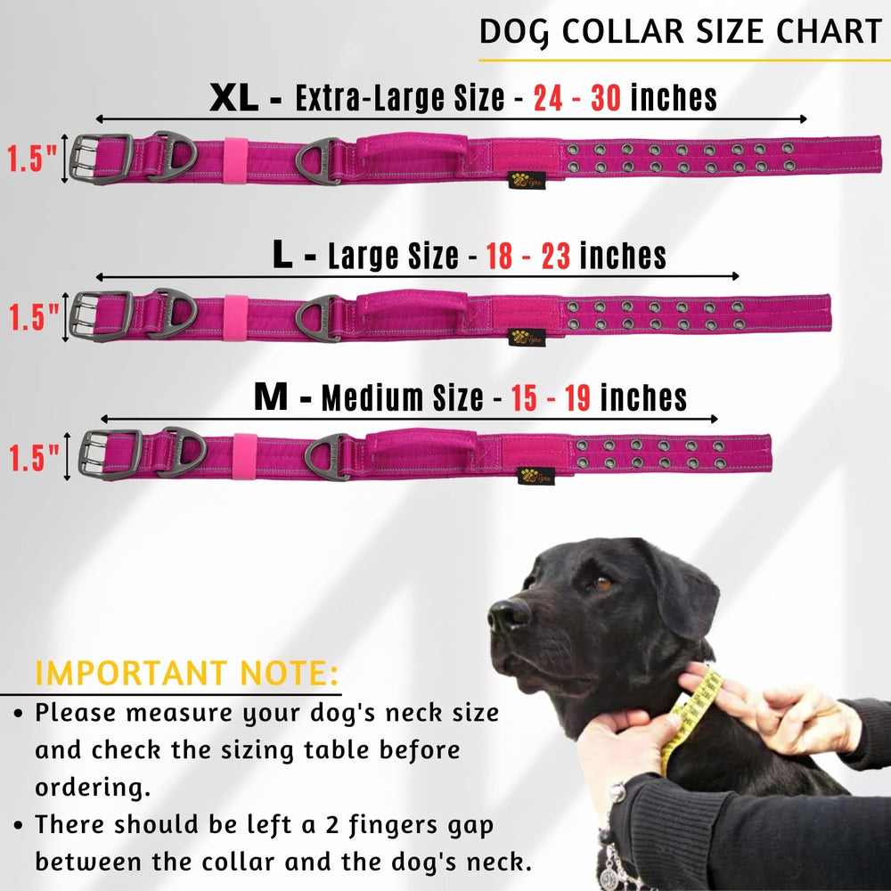 ADITYNA reflective-stitching night-walk collar increases visibility for safer evening outings