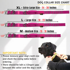 ADITYNA reflective-stitching night-walk collar increases visibility for safer evening outings