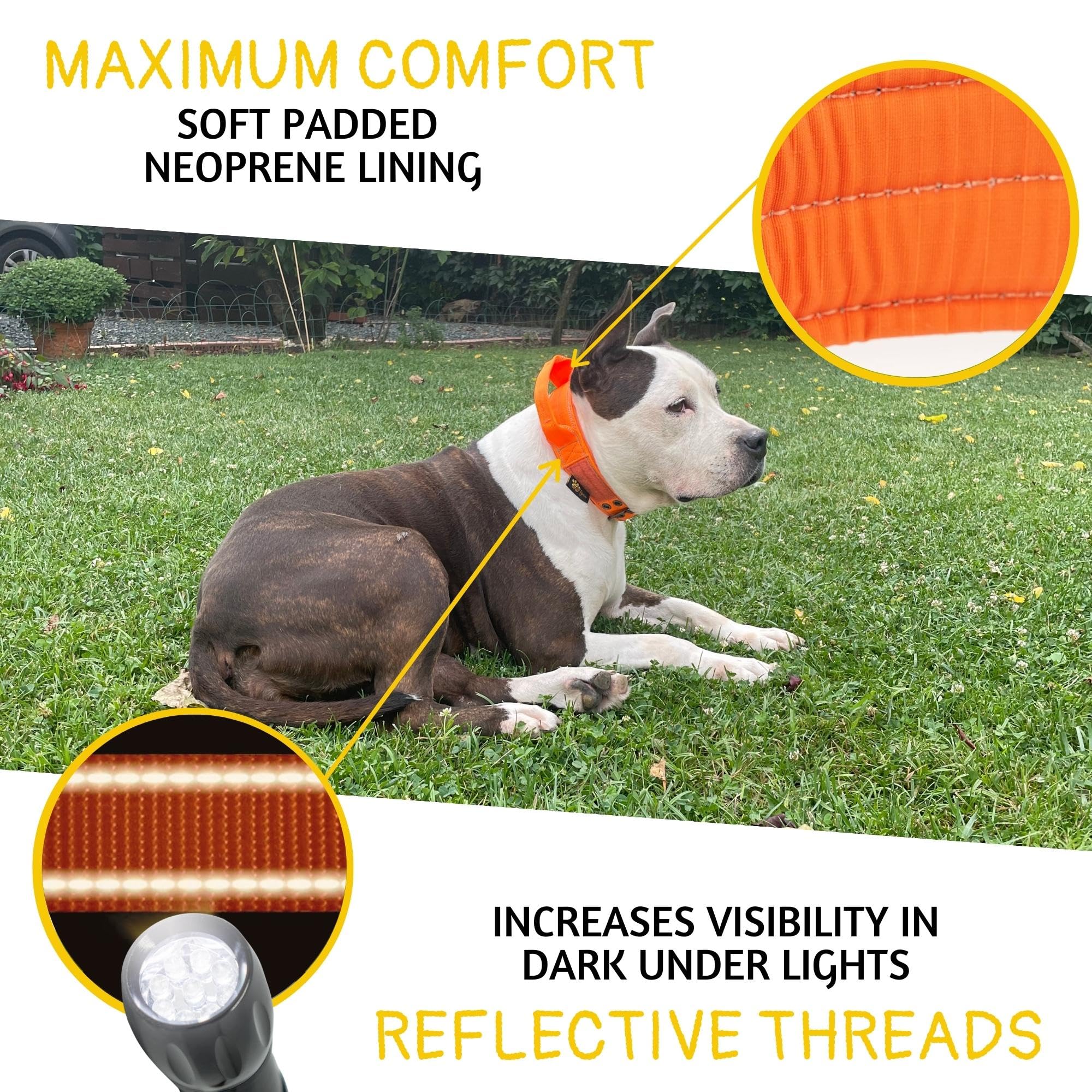 ADITYNA reflective stitching on tactical collar improves visibility during night walks