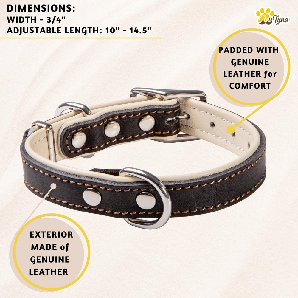 ADITYNA small-dog collar 10-14 inch measure shows precise sizing and comfortable wear.