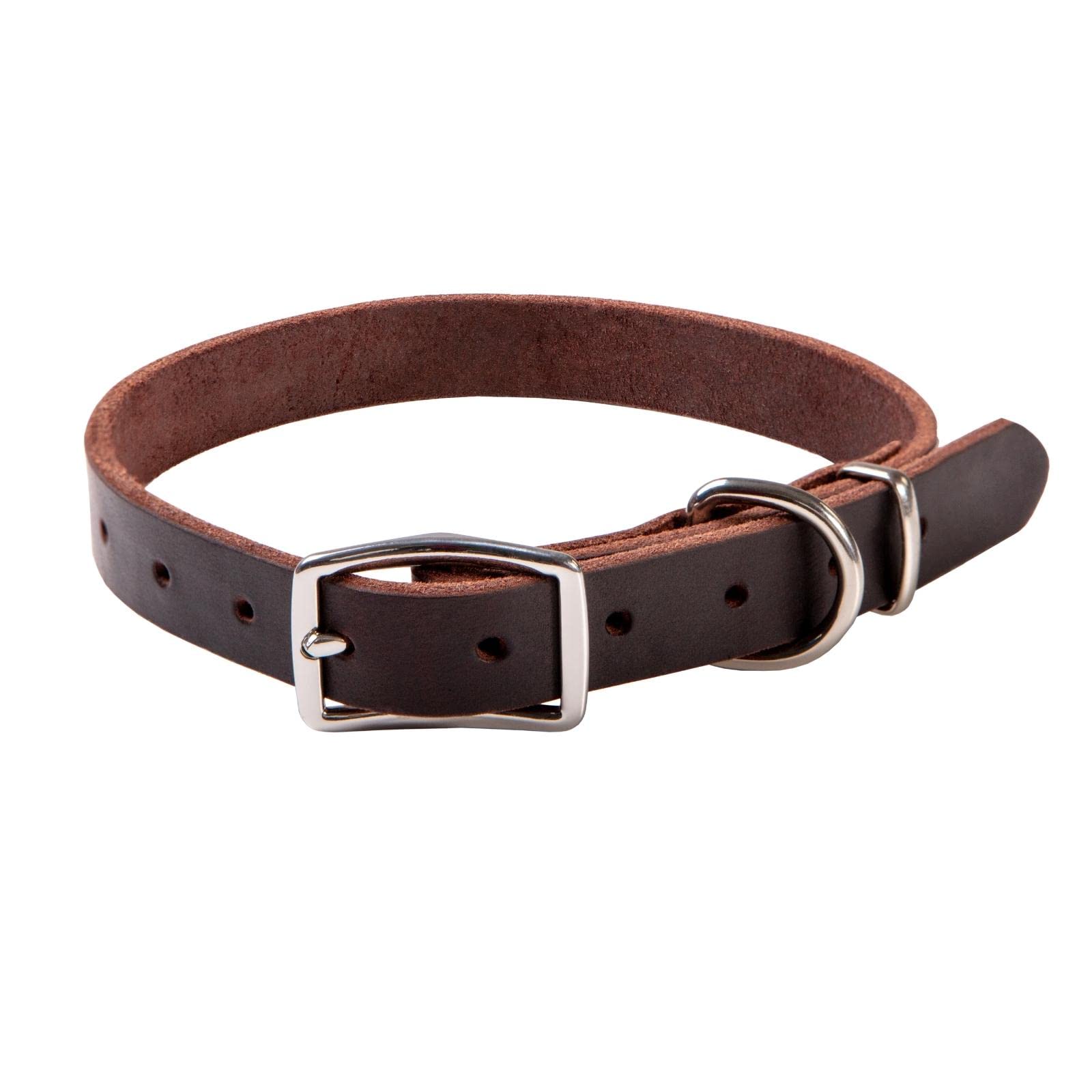 ADITYNA small dog collar presented as a stylish, gift-ready option for dog lovers.