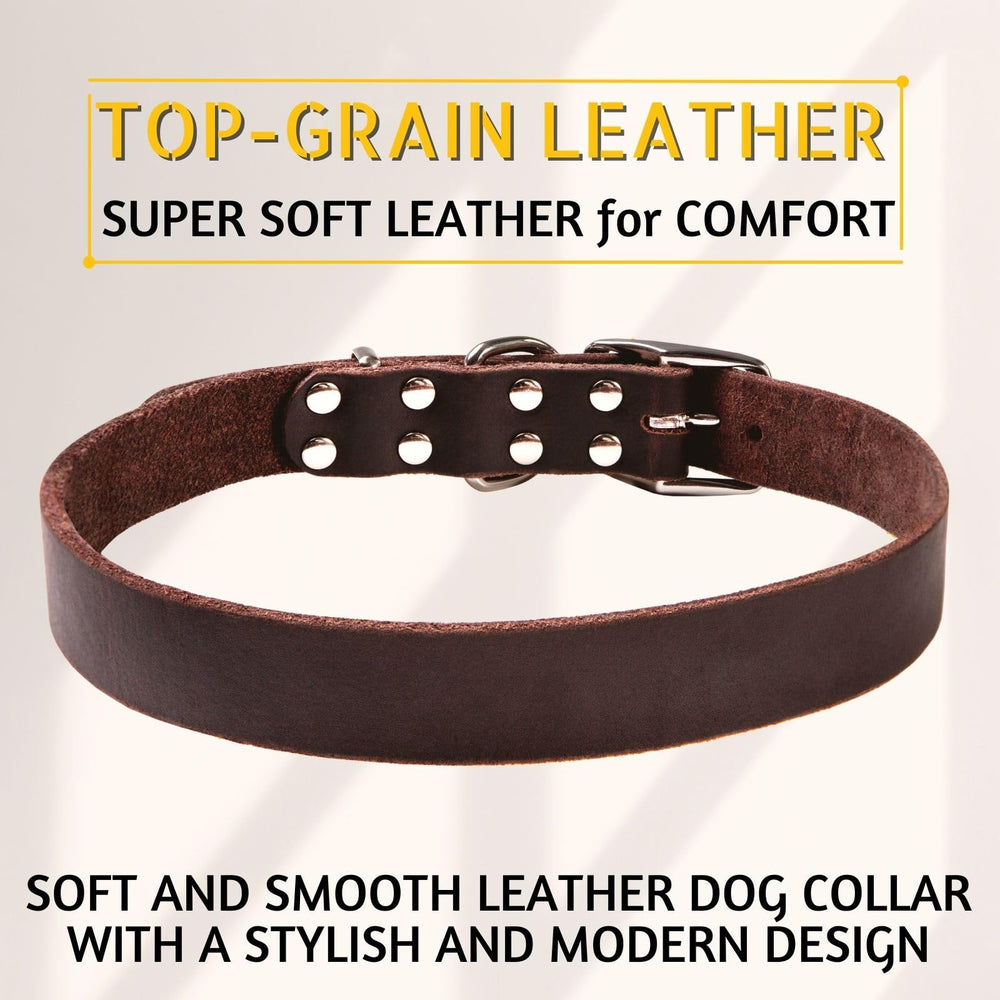 ADITYNA soft-texture leather collar XL photographed on a large dog for comfort.