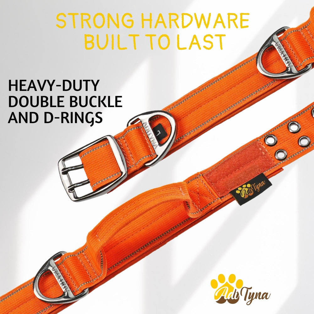 ADITYNA sturdy nylon webbing with heavy-duty D-ring for leash security.