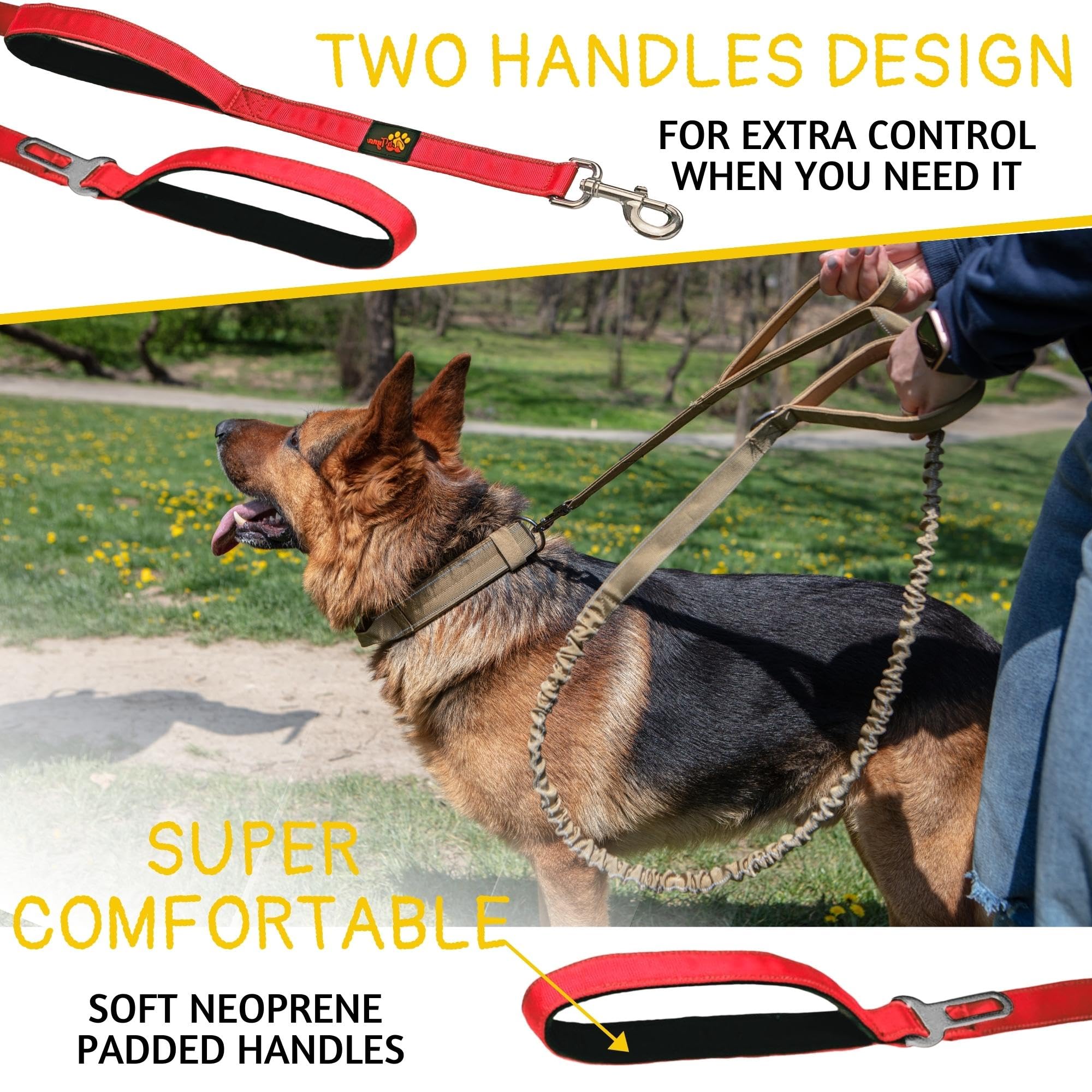 ADITYNA leash with two padded handles for safer, near-traffic walks.