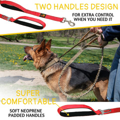 ADITYNA leash with two padded handles for safer, near-traffic walks.