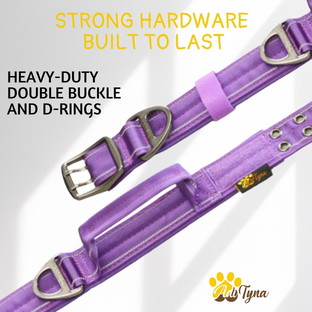 ADITYNA training-ready collar with easy-grab handle for controlled sessions