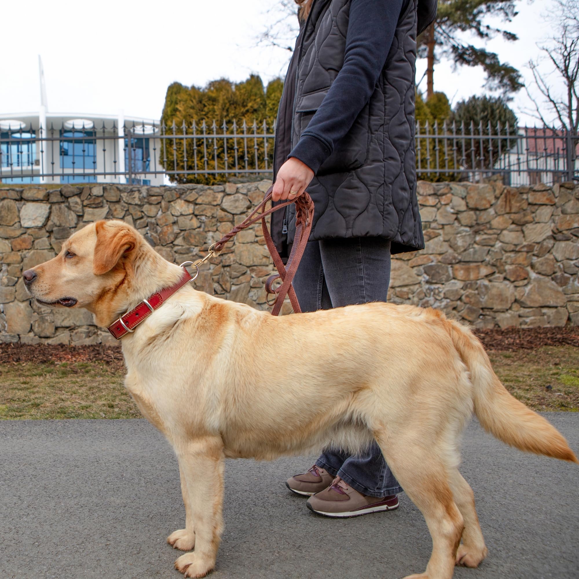 ADITYNA dog-waste dispenser included beside leash for on-the-go cleanup.