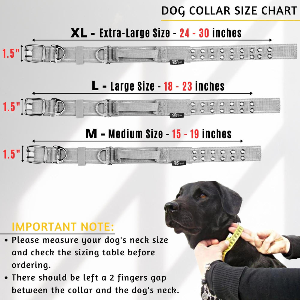 ADITYNA weather-resistant collar keeps up with outdoor adventures.