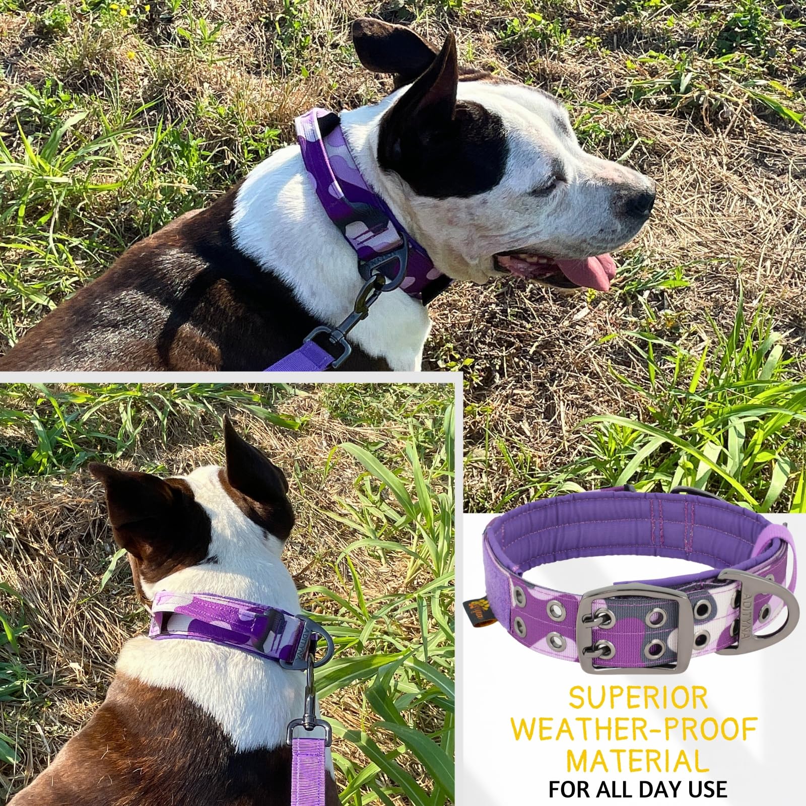 ADITYNA weather-resistant dog collar ready for outdoor use in any weather
