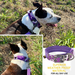 ADITYNA weather-resistant dog collar ready for outdoor use in any weather