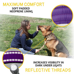 ADITYNA wide 1-5 inch nylon collar supports control during active outings