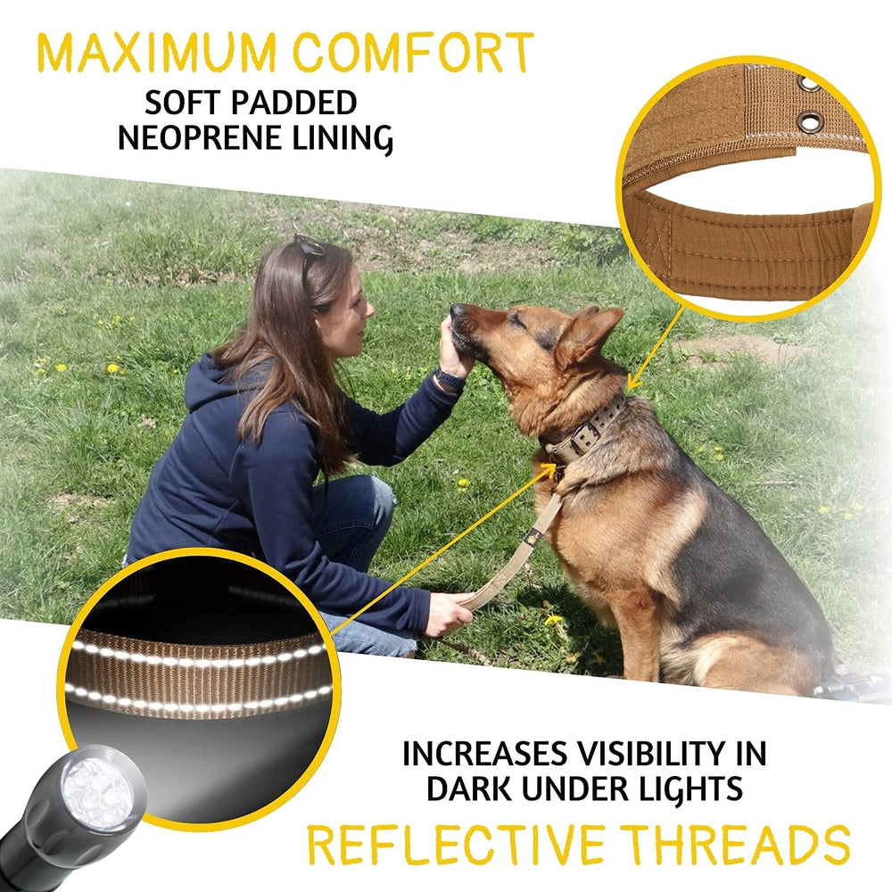 ADITYNA wide 1.5-inch collar offering sturdy, comfortable fit.