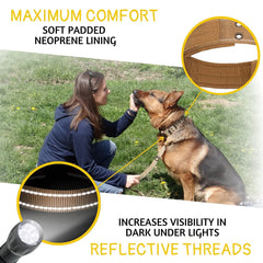 ADITYNA wide 1.5-inch collar offering sturdy, comfortable fit.