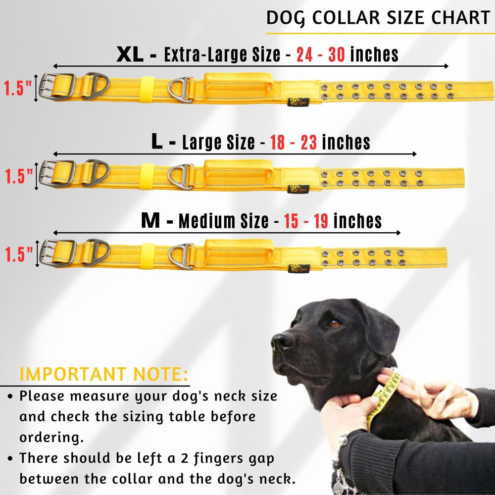 ADITYNA wide 1.5-inch collar supports even pull distribution