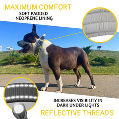ADITYNA wide 15inch collar provides stability and comfort for strong breeds.