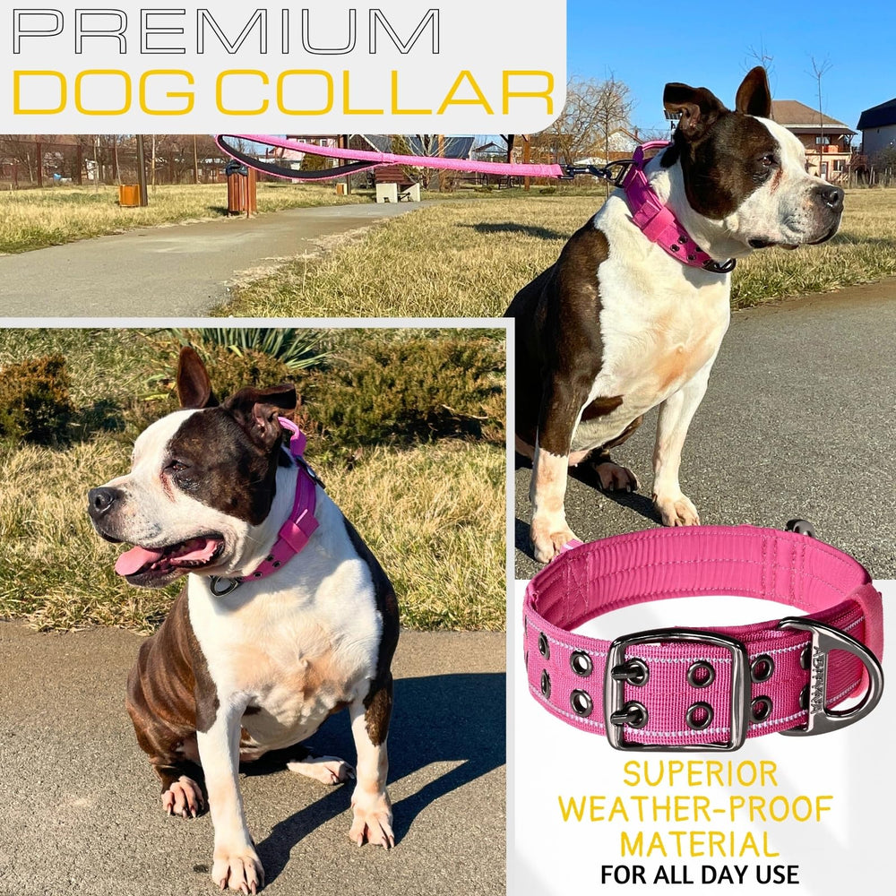 ADITYNA one-point-five-inch wide collar for stronger control