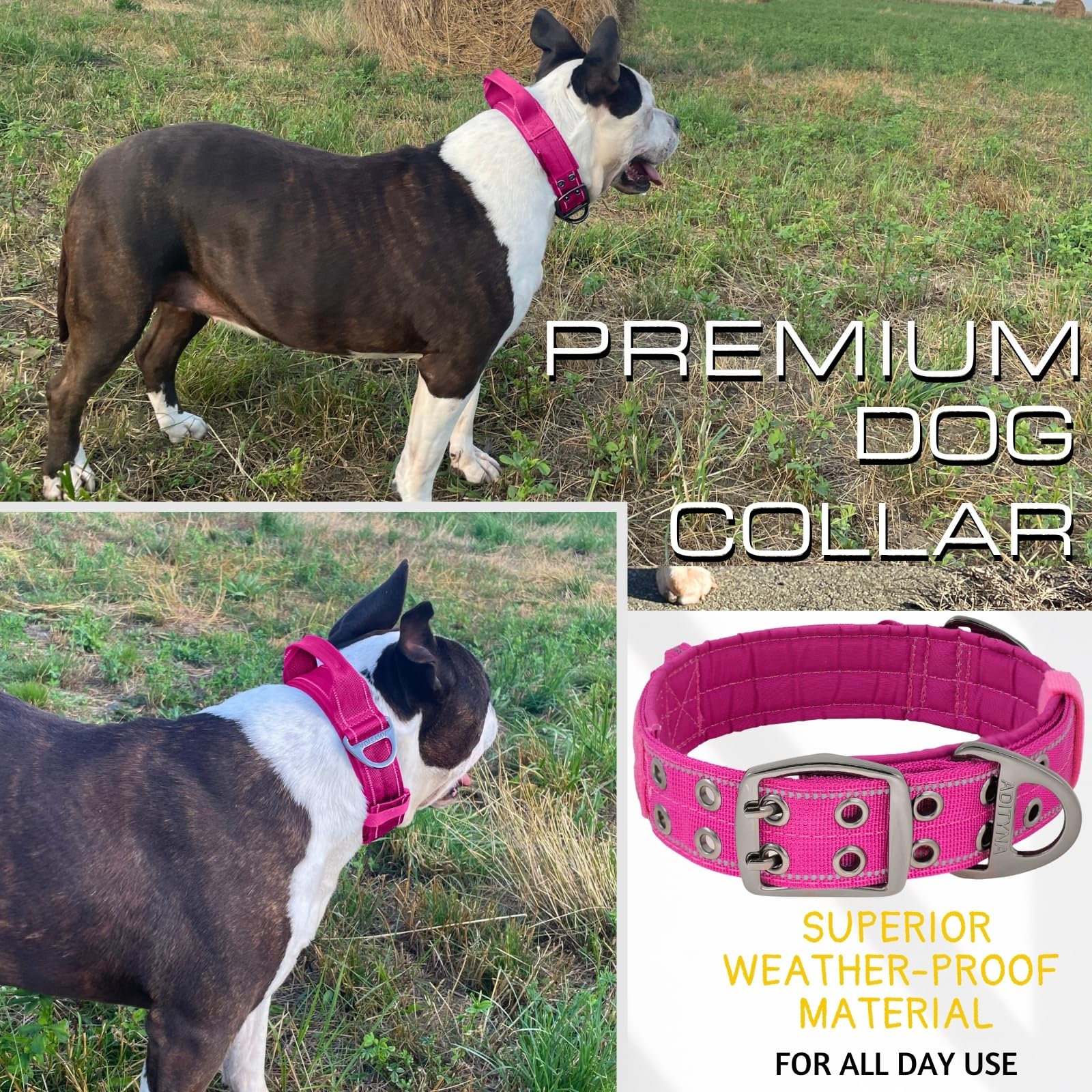 ADITYNA wide-thick-tactical-collar supports secure control and safety during training and walking