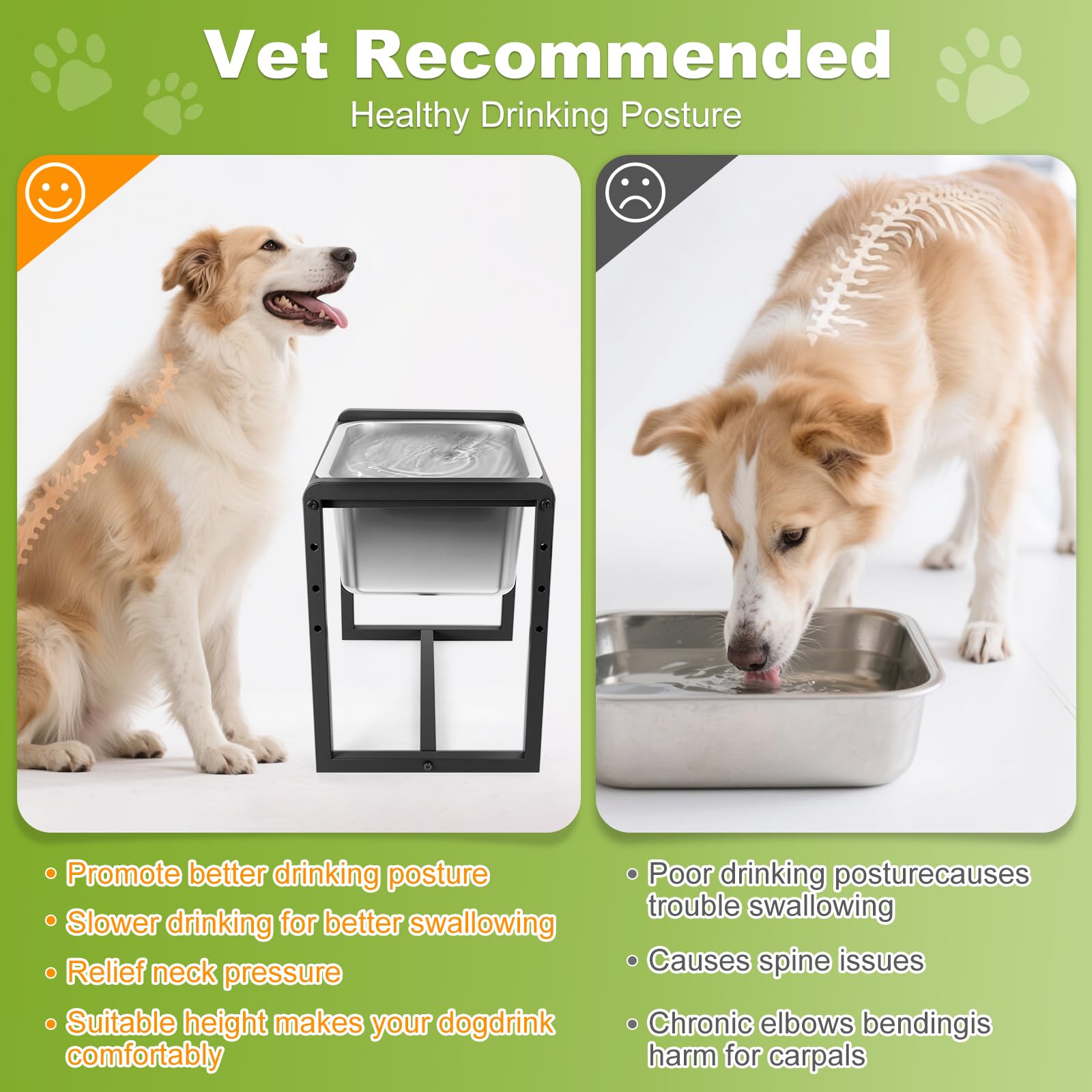 Adjustable Height Elevated Large Dog Water Bowl with stainless steel bowls for easy cleaning.