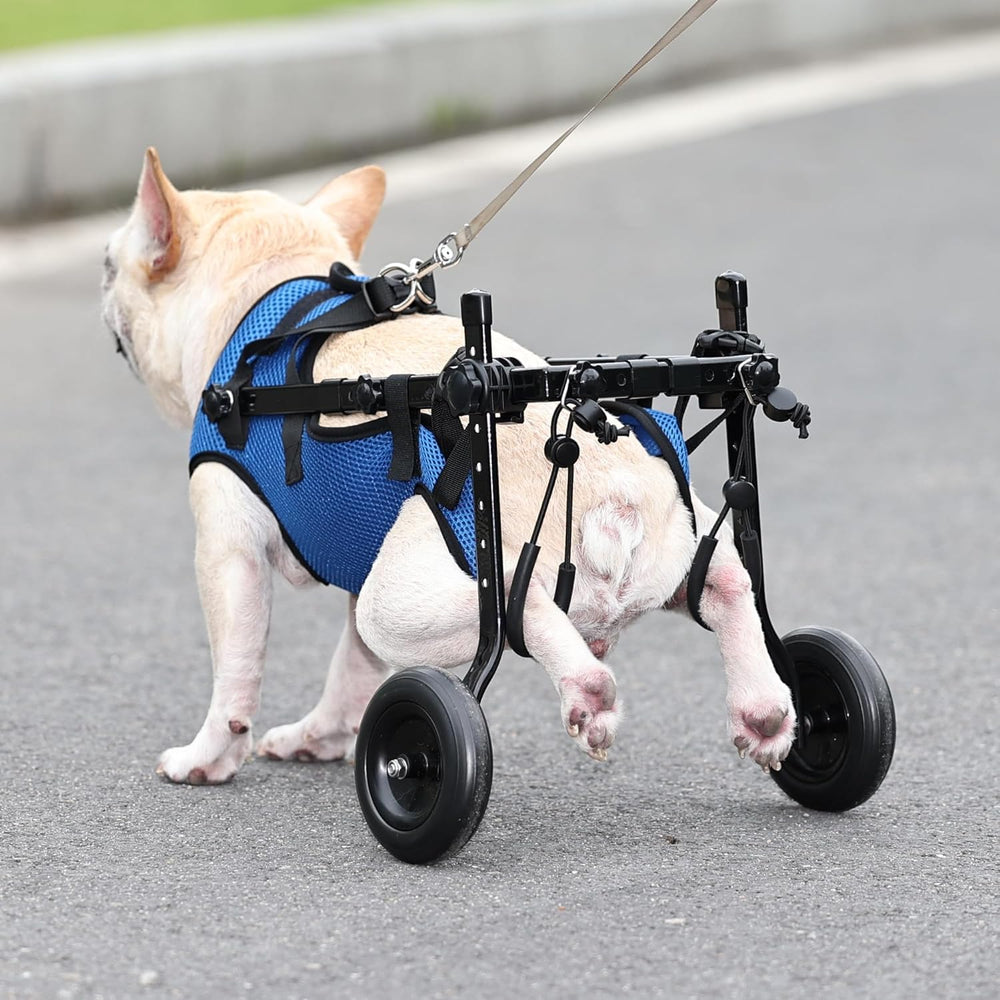 Adjustable Small Dog Wheelchair breathable mesh emphasizes comfortable cooling during use.