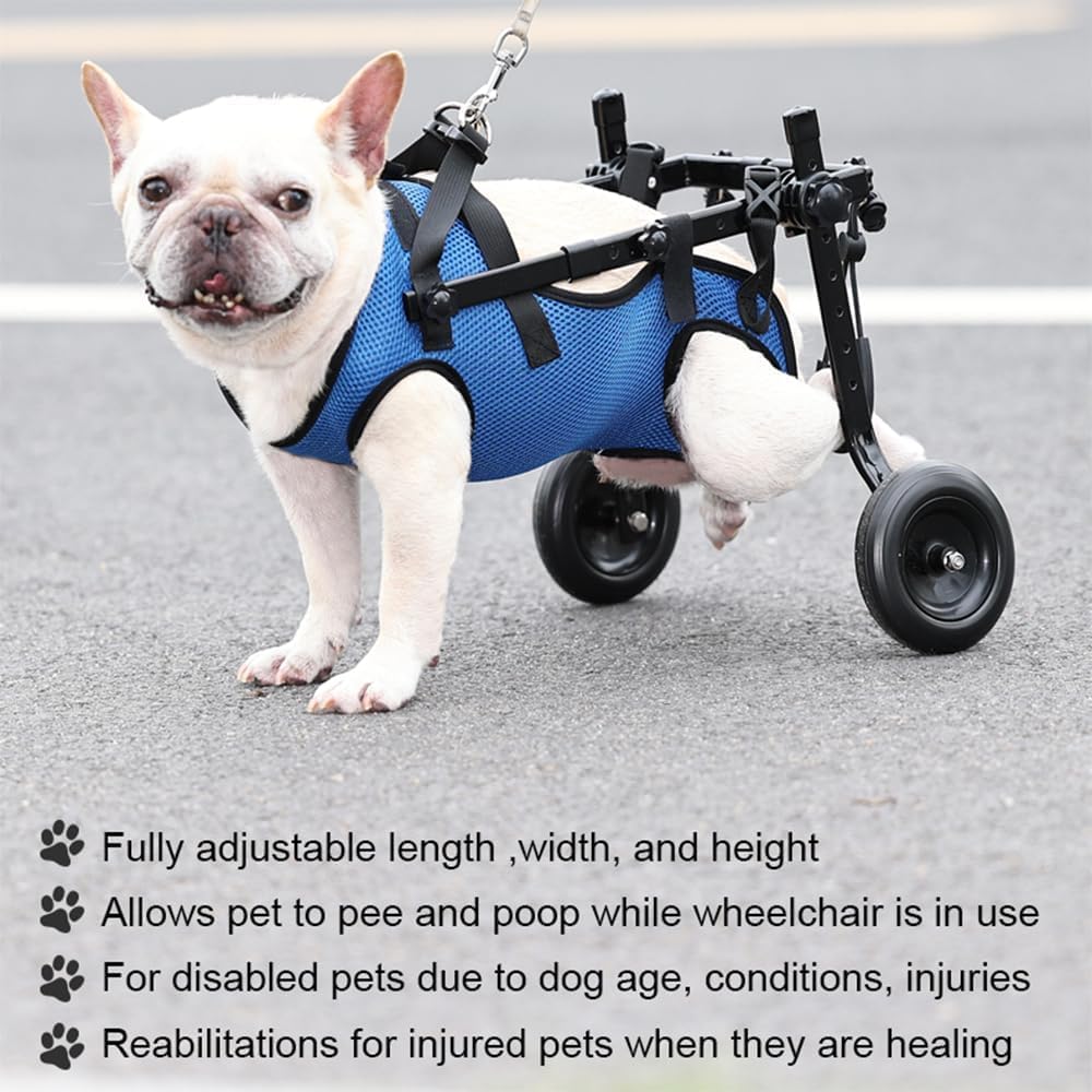 Adjustable Small Dog Wheelchair frame adjustment demonstrates customizable hip and leg support.