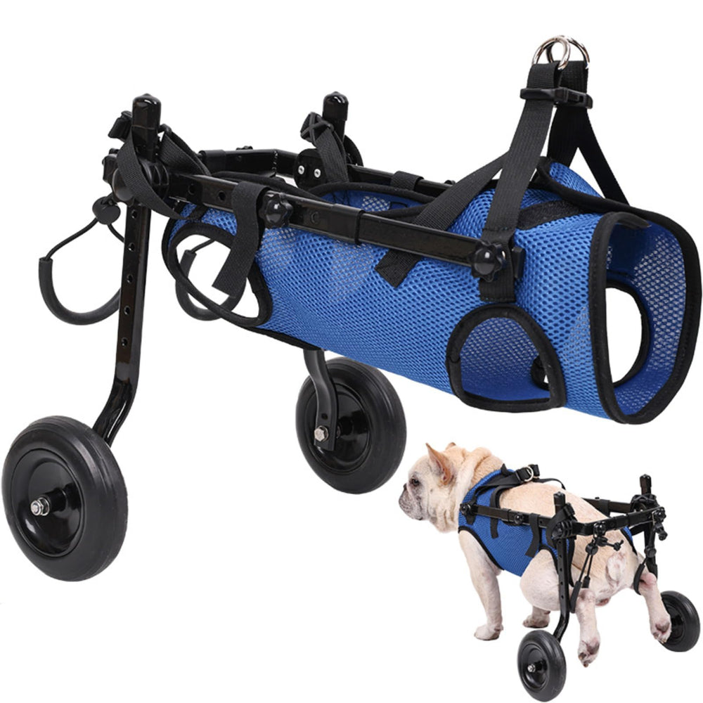 Adjustable Small Dog Wheelchair front view highlights lightweight mobility support.