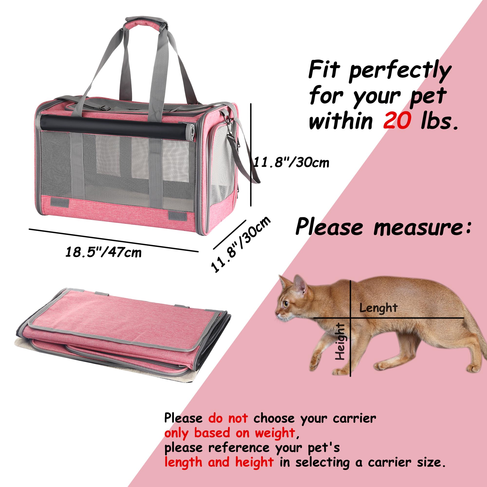 Adkyop removable base insert offers a sturdy stand-ready surface.