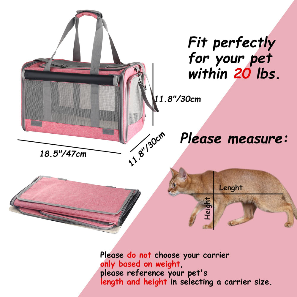 Adkyop removable base insert offers a sturdy stand-ready surface.