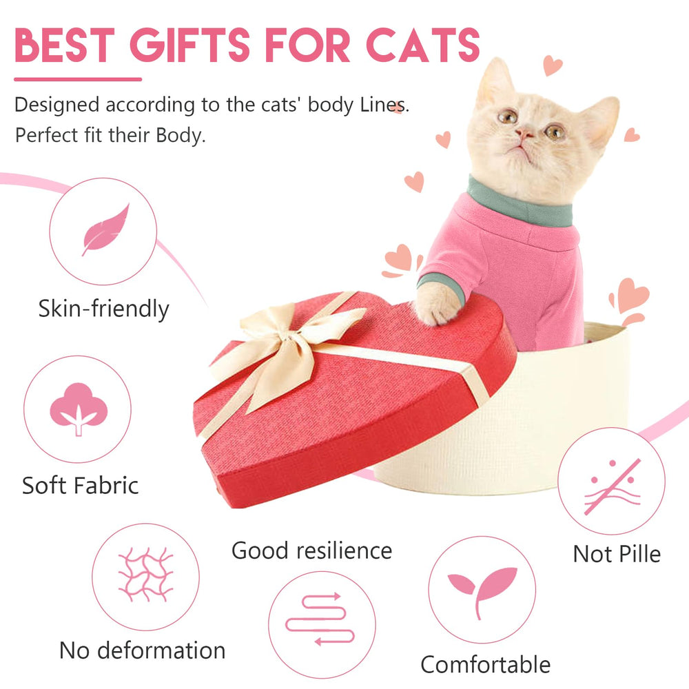 ADNIKIA cat daily wear stylish design for comfortable feline fashion