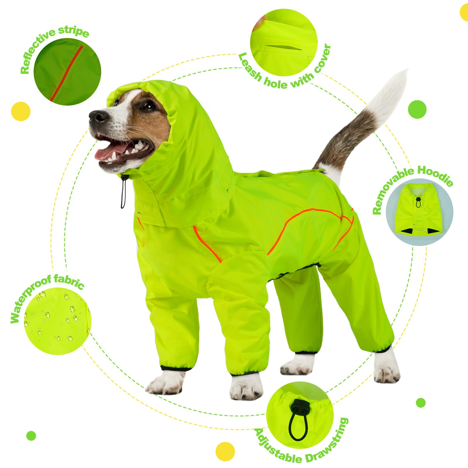 ADNIKIA dog raincoat removable hood demonstrates versatile weather coverage.