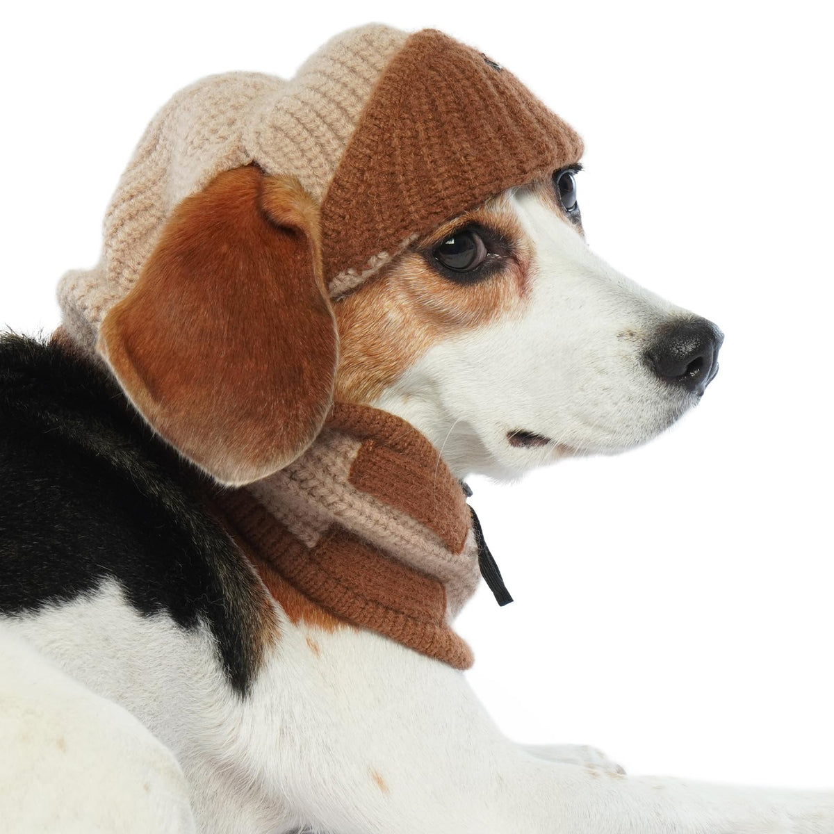 ADNIKIA dog winter pilot hat with ear flaps keeps your pup warm on cold walks