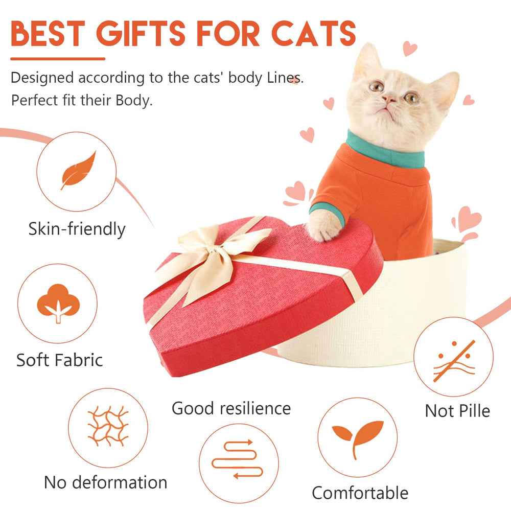ADNIKIA stylish-cat-daily-wear pairs with outfits for daily comfort