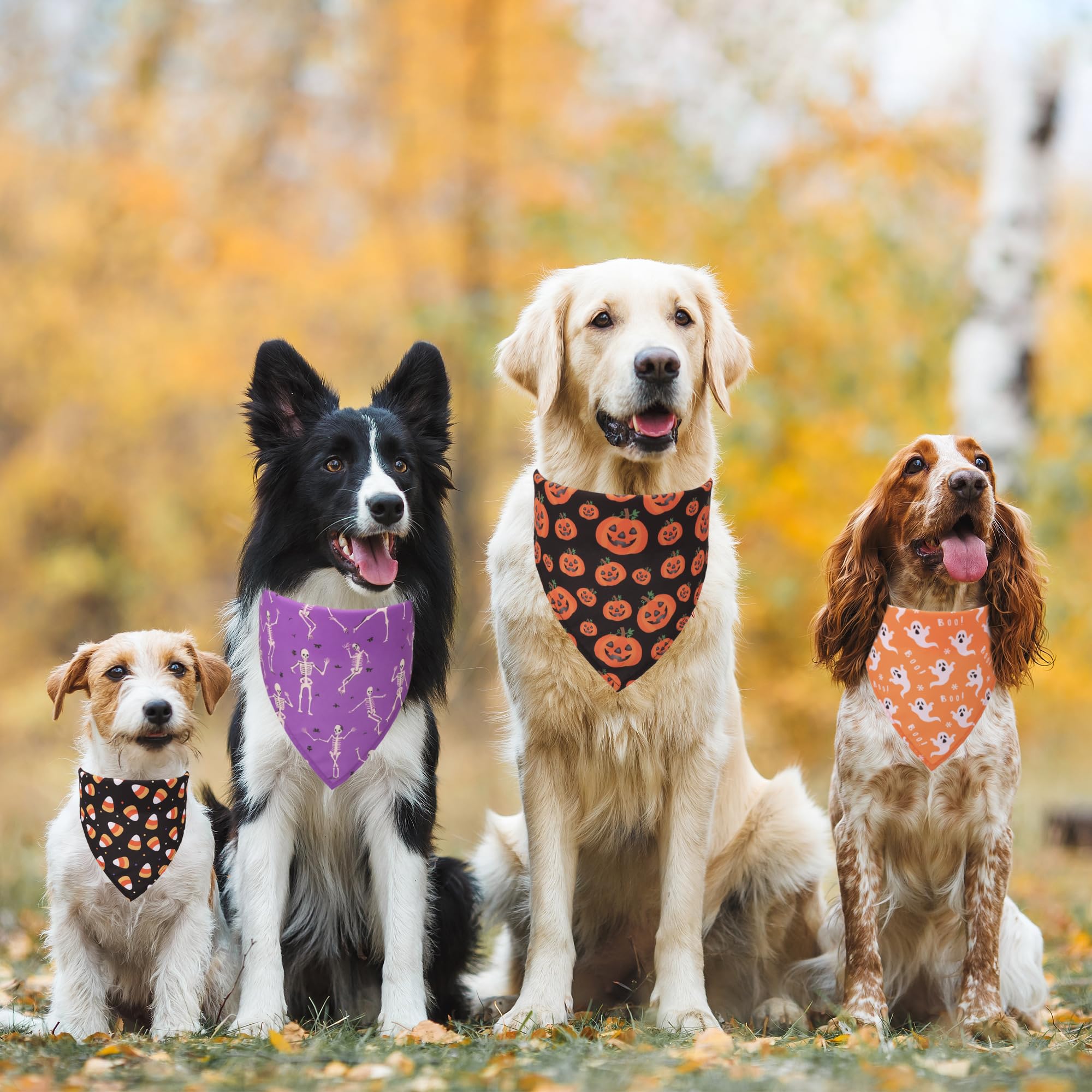 adoggygo bandana halloween con variados estampados para looks