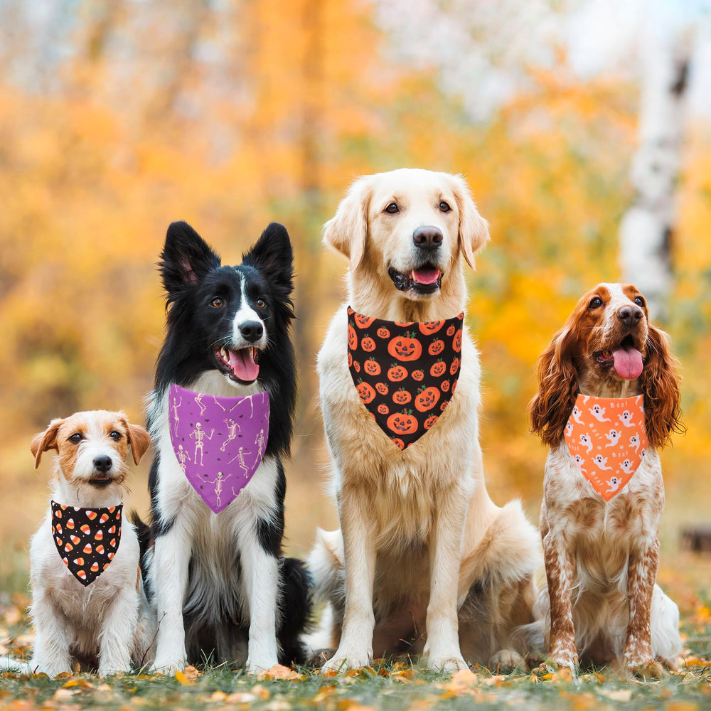 adoggygo bandana halloween con variados estampados para looks