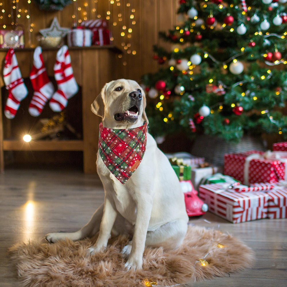 ADOGGYGO bandana navideña para perro en cuadros verdes con copos, perfecta para sesiones de fotos.