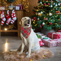 ADOGGYGO bandana navideña para perro en cuadros verdes con copos, perfecta para sesiones de fotos.
