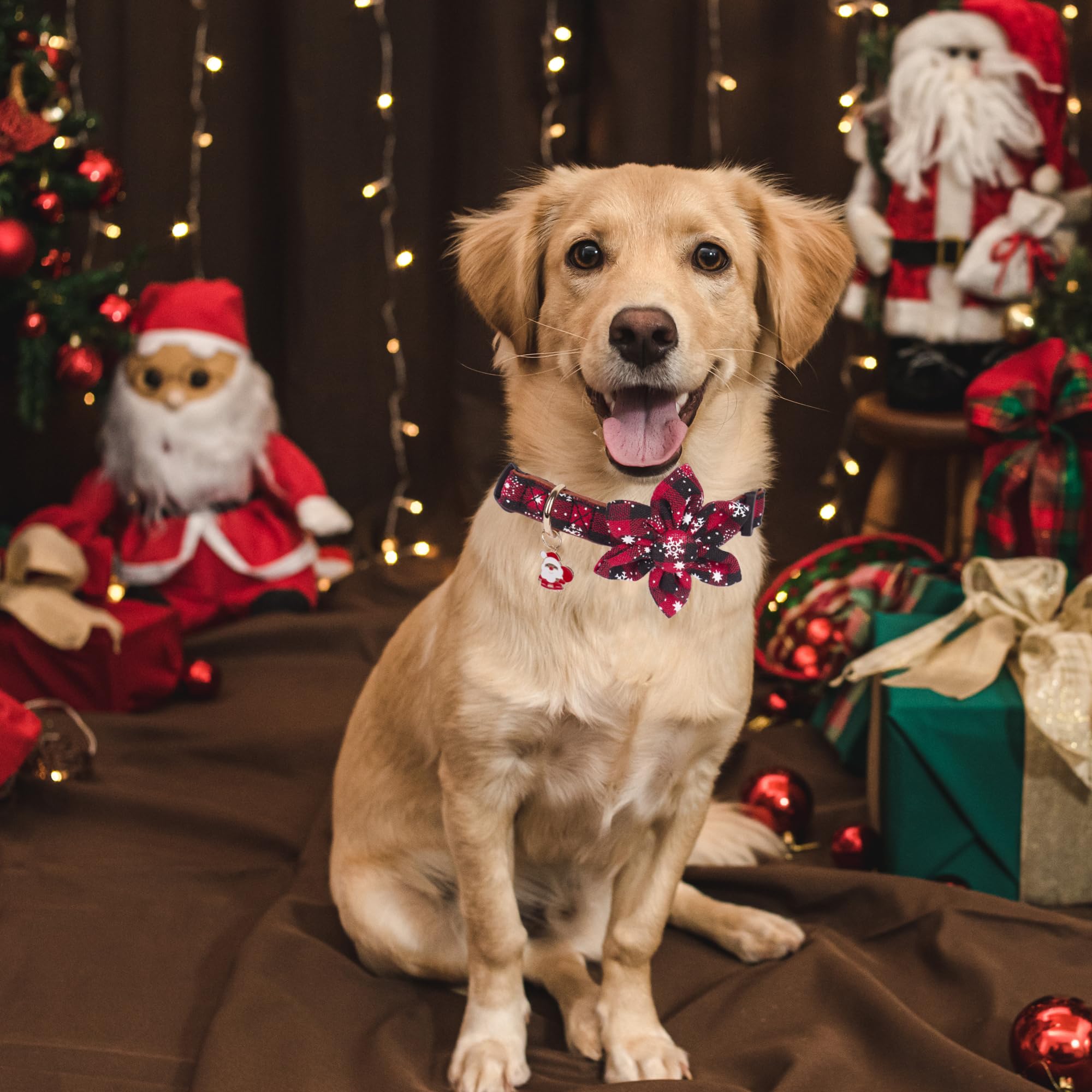 ADOGGYGO buffalo plaid snowflake collar on a happy dog for holidays.