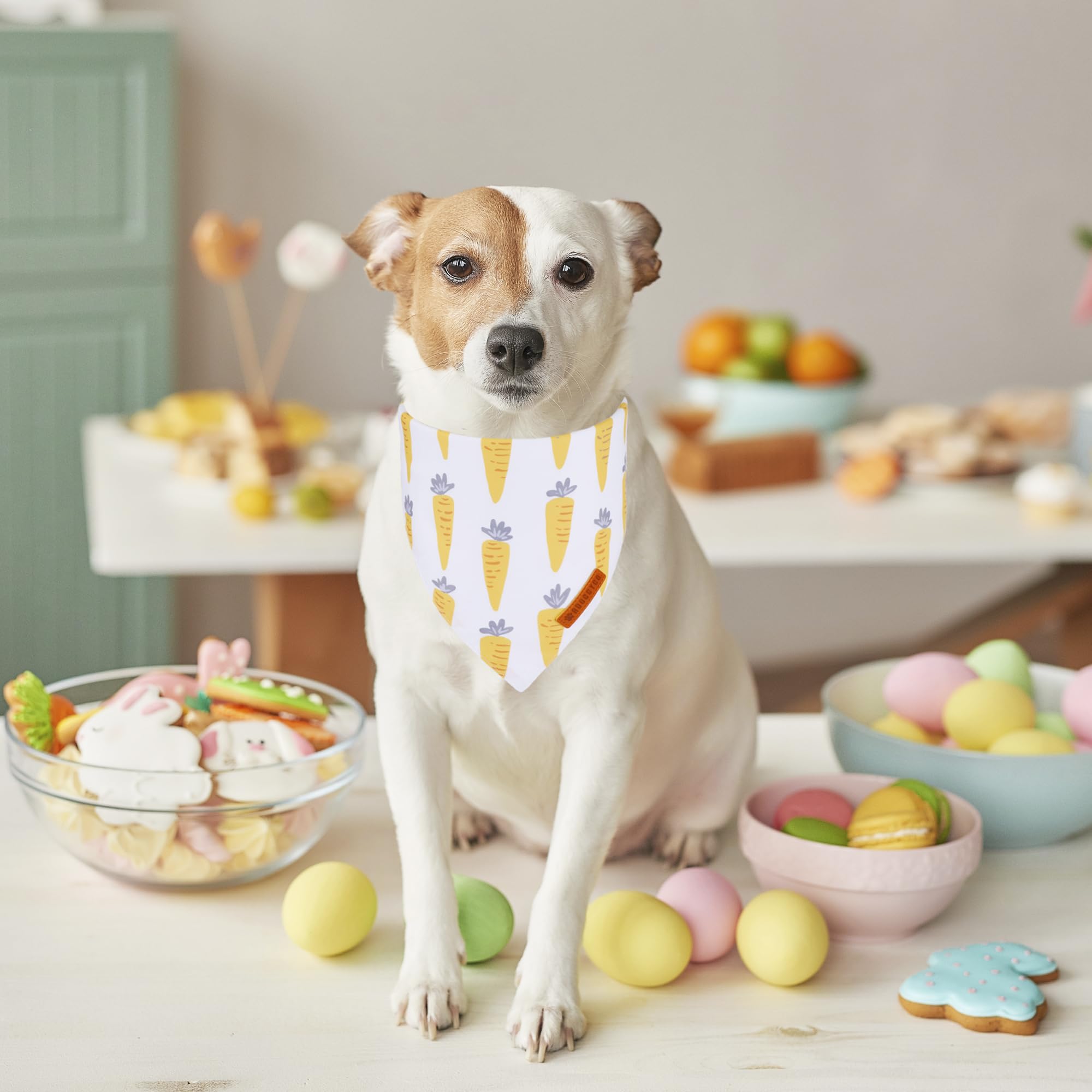 ADOGGYGO carrot Easter scarf for dogs adds playful daytime style on walks.