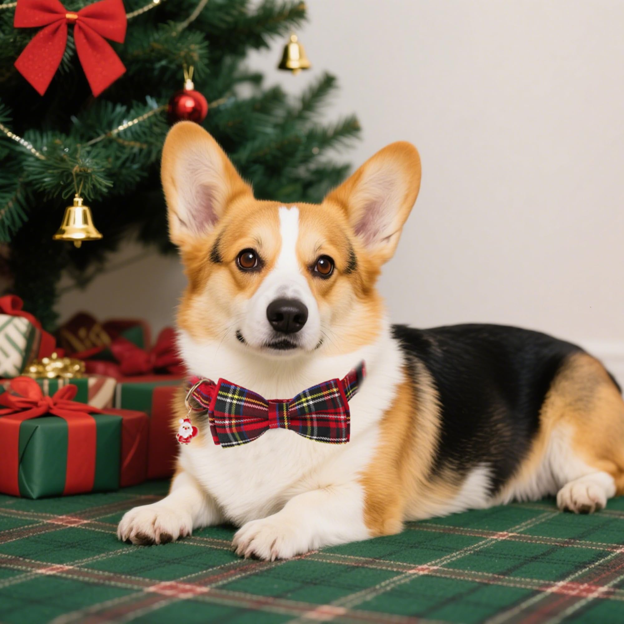 ADOGGYGO Christmas dog collar with bowtie in green plaid, cheerful holiday wear.