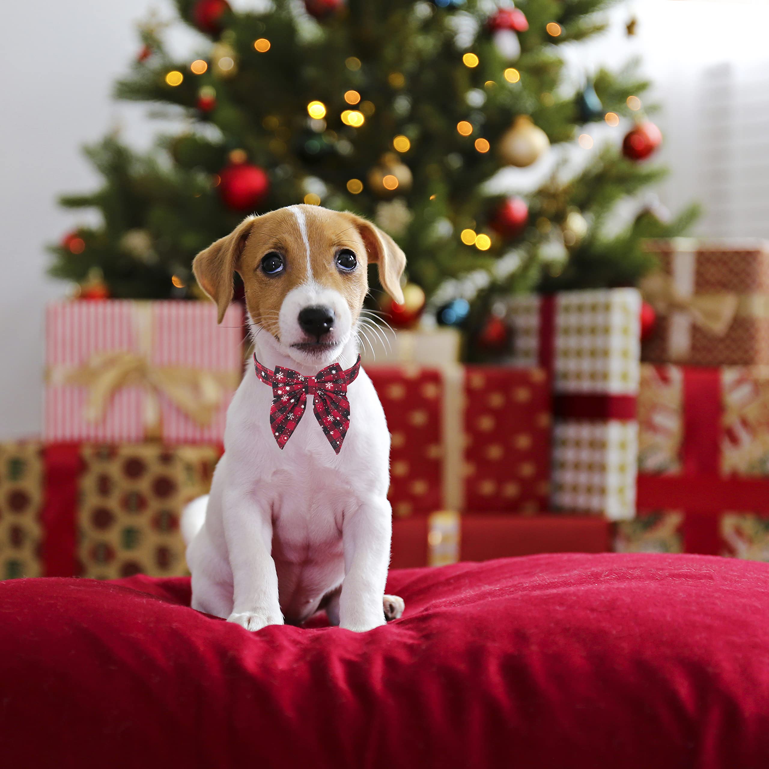 ADOGGYGO Christmas collar plaid snowflake pattern closeup emphasizes seasonal style for pets.