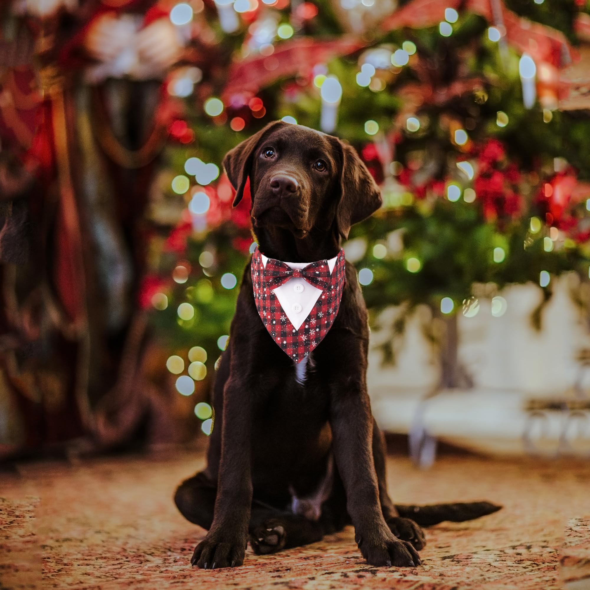 ADOGGYGO red plaid motif detail highlighting festive Christmas style
