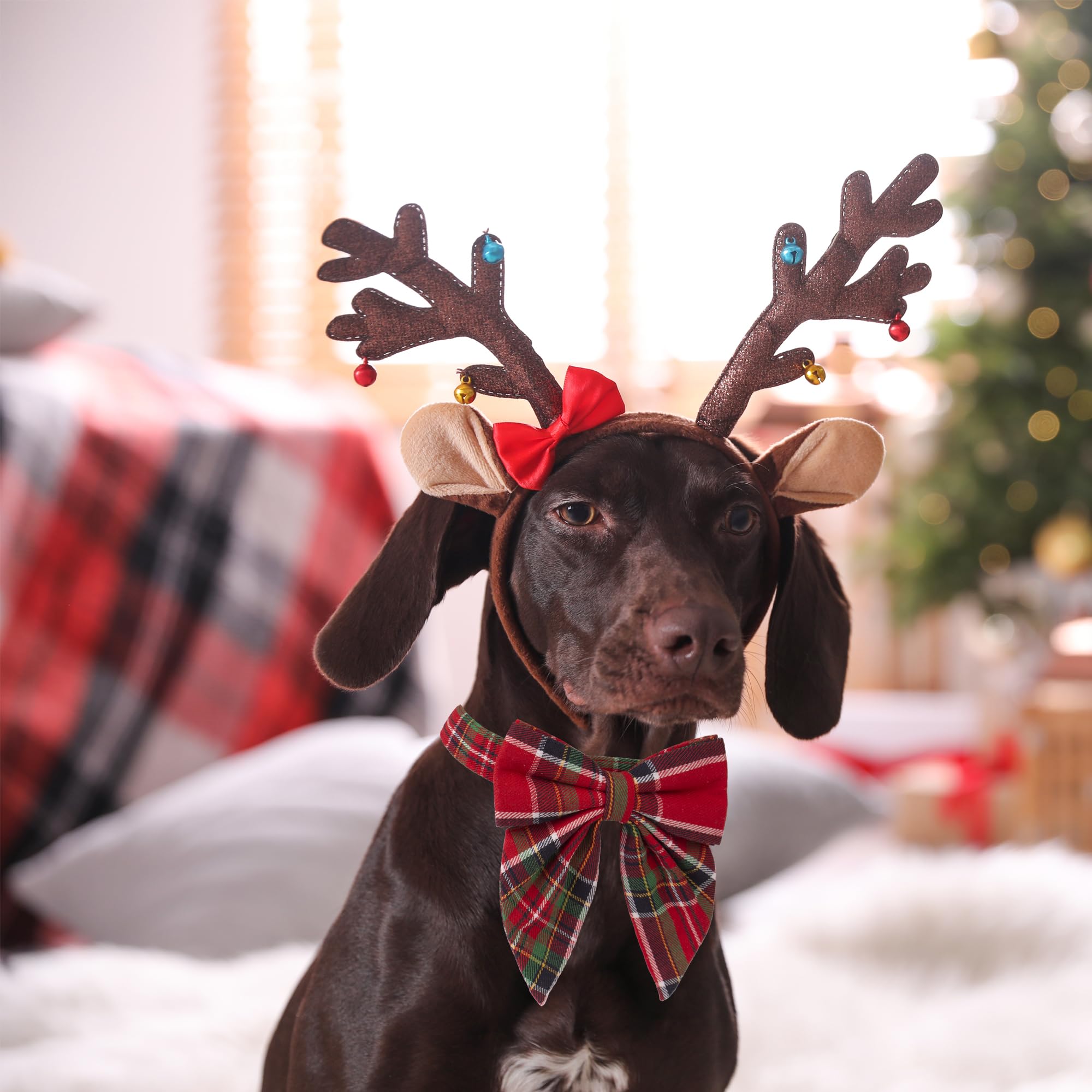 ADOGGYGO collar de algodon suave, comodo para el cuello durante navidad.