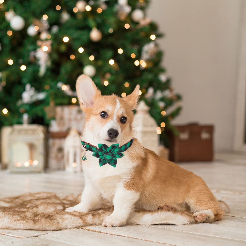 Collar ADOGGYGO con tallas ajustables para perros pequeños.