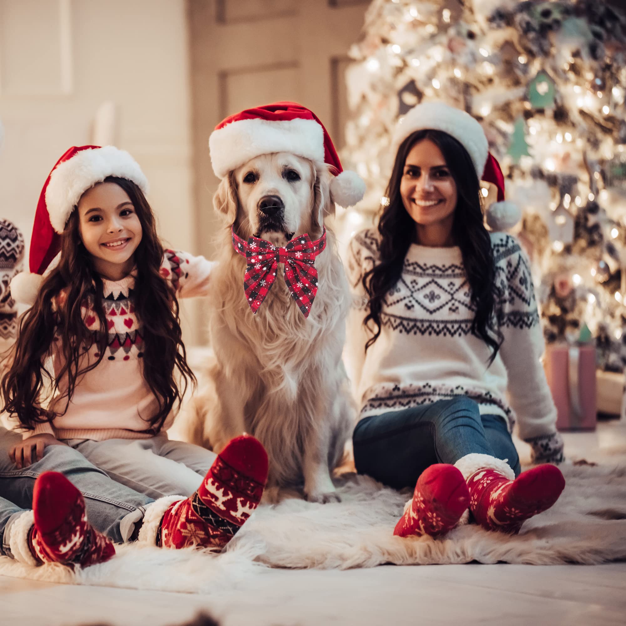 ADOGGYGO collar navidad anilla para correa, uso sencillo.