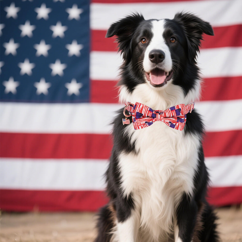 ADOGGYGO detachable bowtie collar for quick festive looks