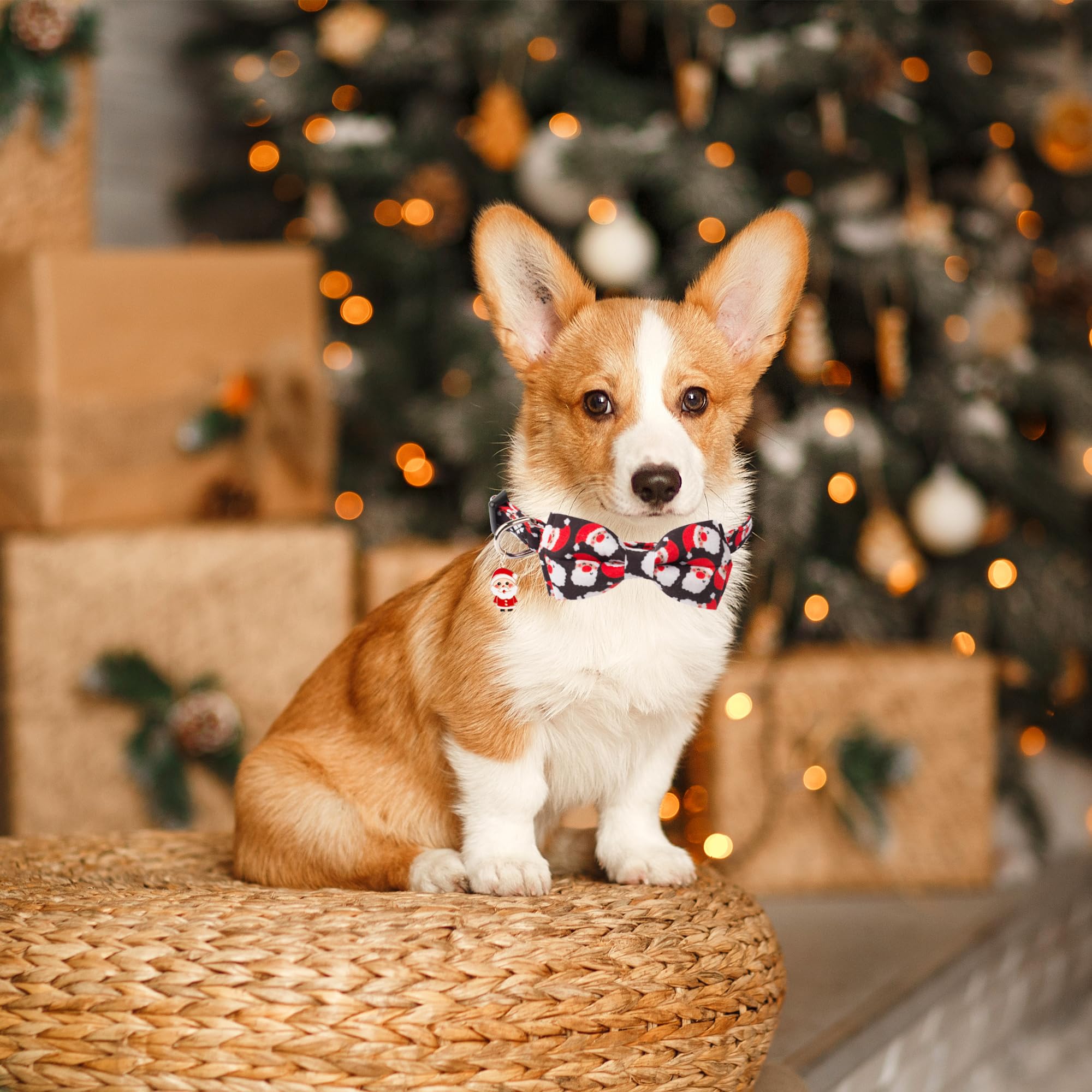 ADOGGYGO detachable bowtie collar showing Santa pattern for stylish everyday wear.