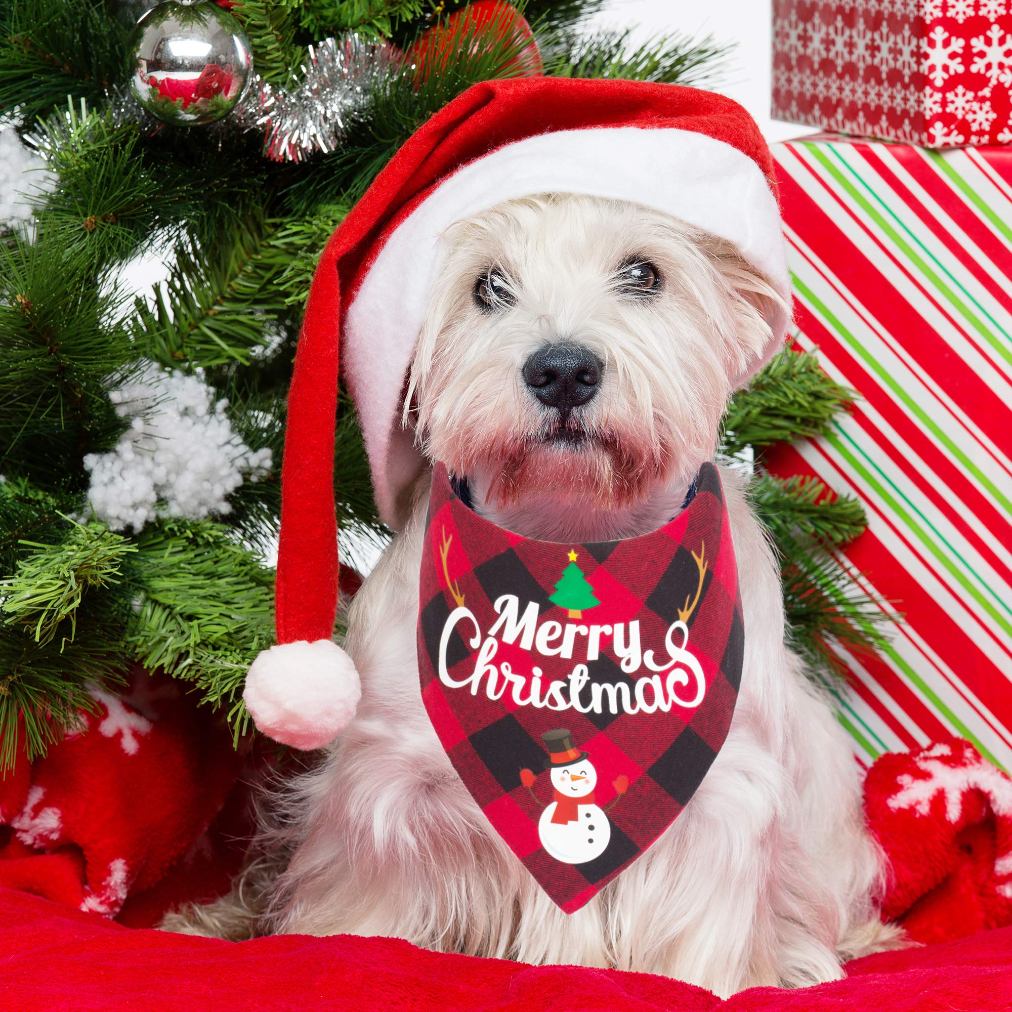 ADOGGYGO two-pack bandana with size chart helps fit most breeds.