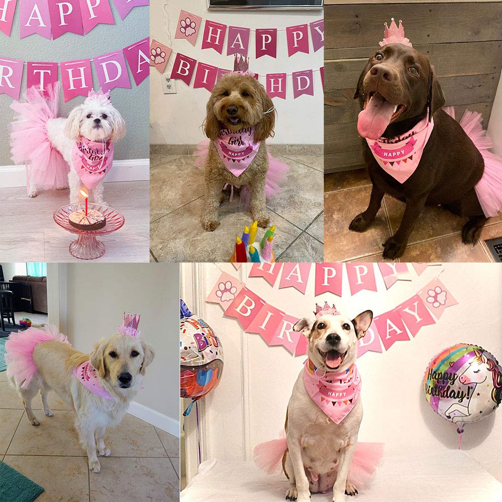 ADOGGYGO dog crown adds princess-style styling for special moments