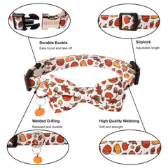 ADOGGYGO durable stainless steel buckle and D-rings collar for secure leash attachment.